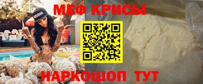 тгк Кингисепп