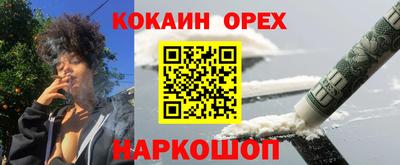 тгк Кингисепп