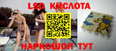 тгк Кингисепп