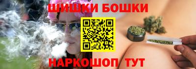 тгк Кингисепп
