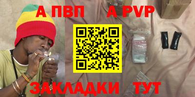 тгк Кингисепп