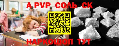 тгк Кингисепп