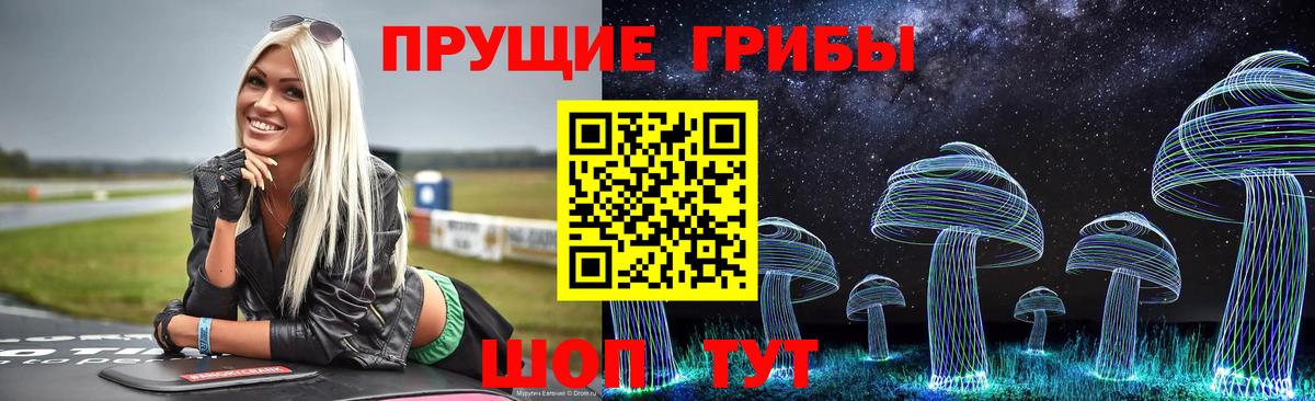 Киселёвск  Галлюциногенные грибы GOLDEN TEACHER  Вход с VPN 
